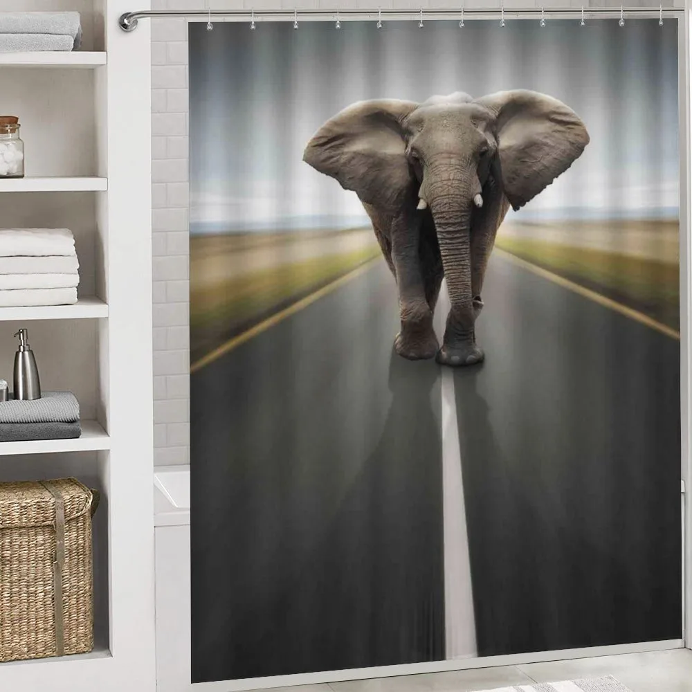Wild Animal on Highway — Detail 4
