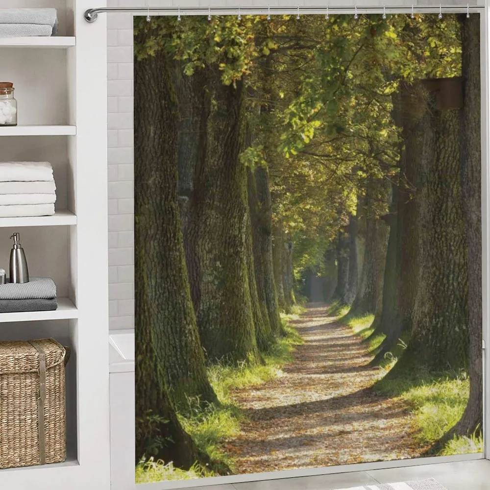 Alley with Oak Trees — Detail 4