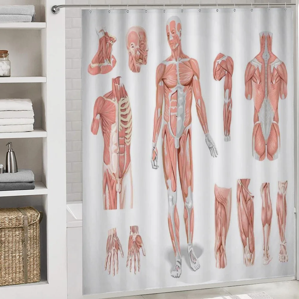 Biology Human Medical — Detail 4
