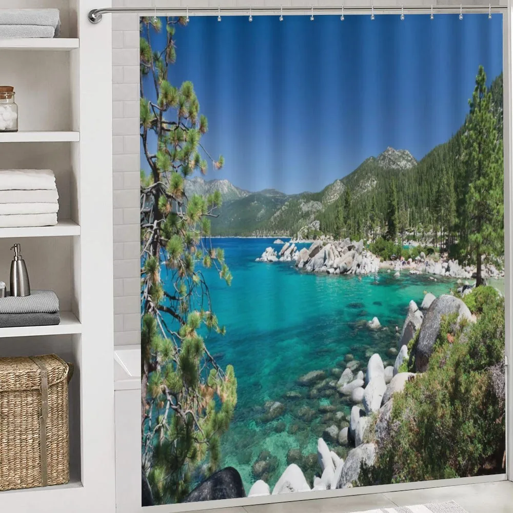 Lake Tahoe Shore View — Detail 4