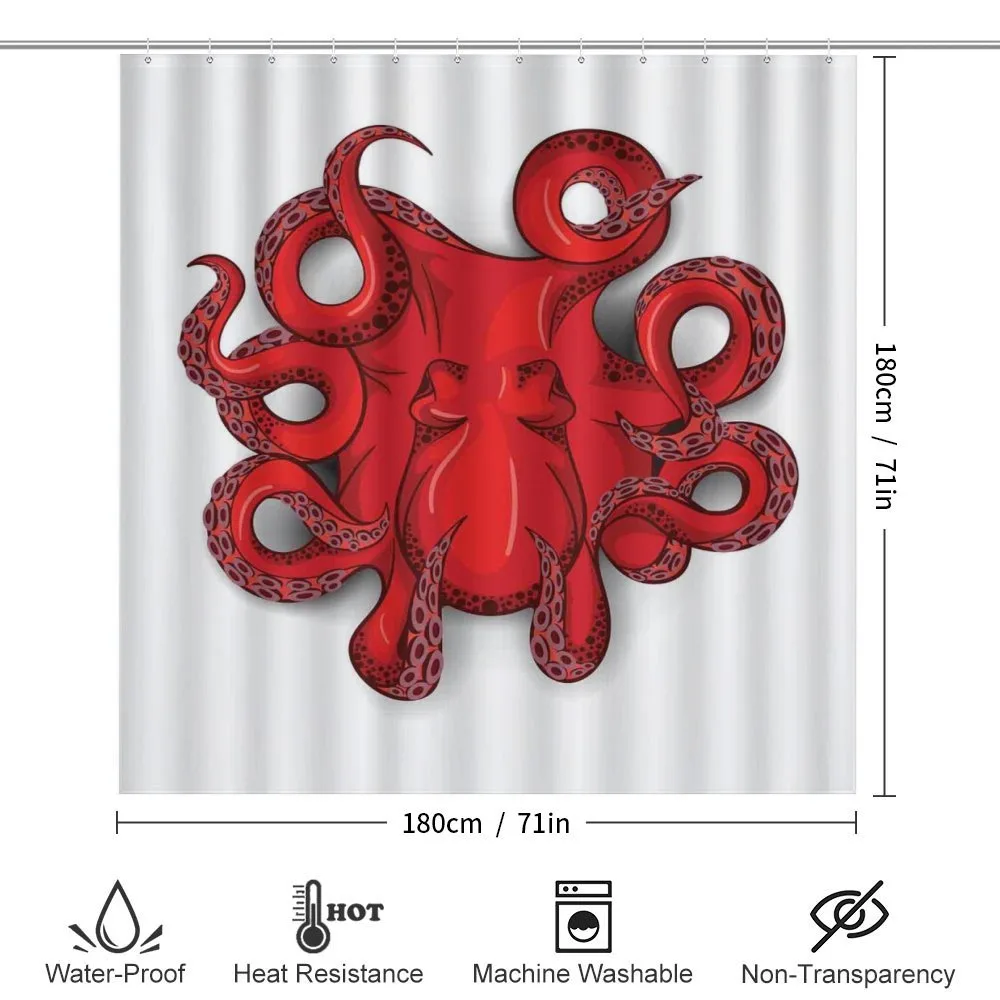 Octopus Animal Marine — Detail 2