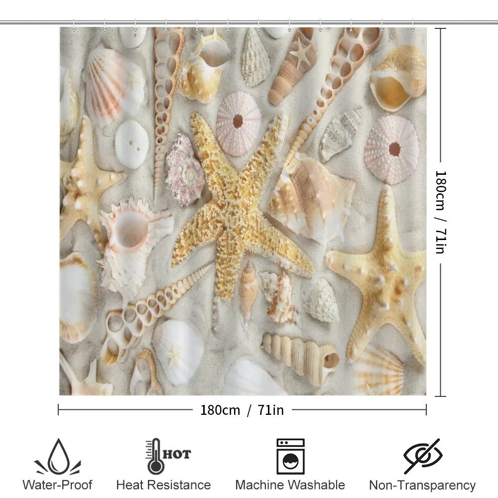 Assorted Seashells Sand Beach — Detail 2