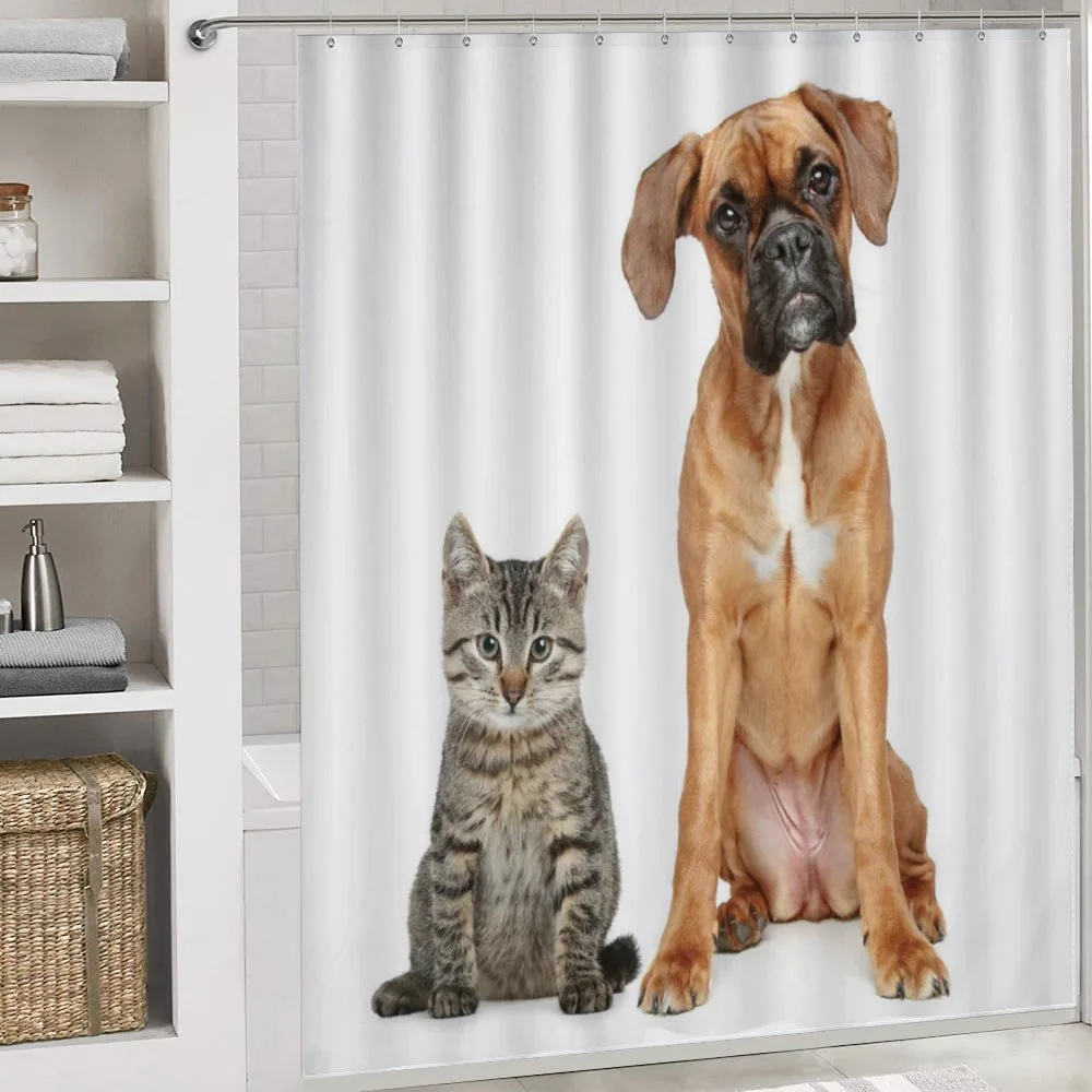 Cat Dog Animal Friends — Detail 4