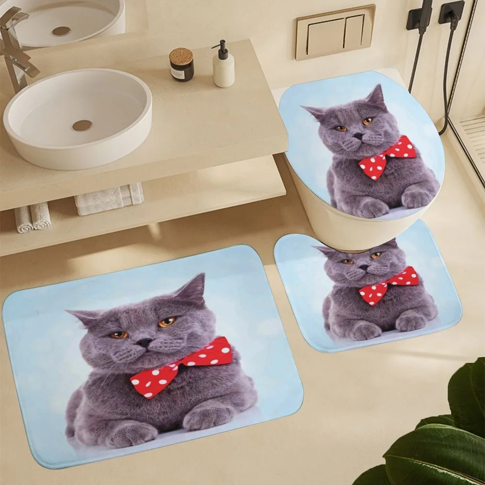 Grey Scottish Fold Theme — Detail 5