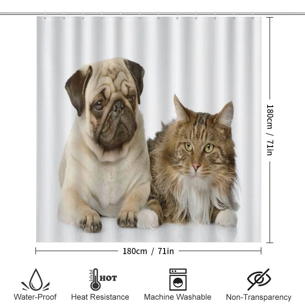 Pets Sitting Studio Shot — Detail 2