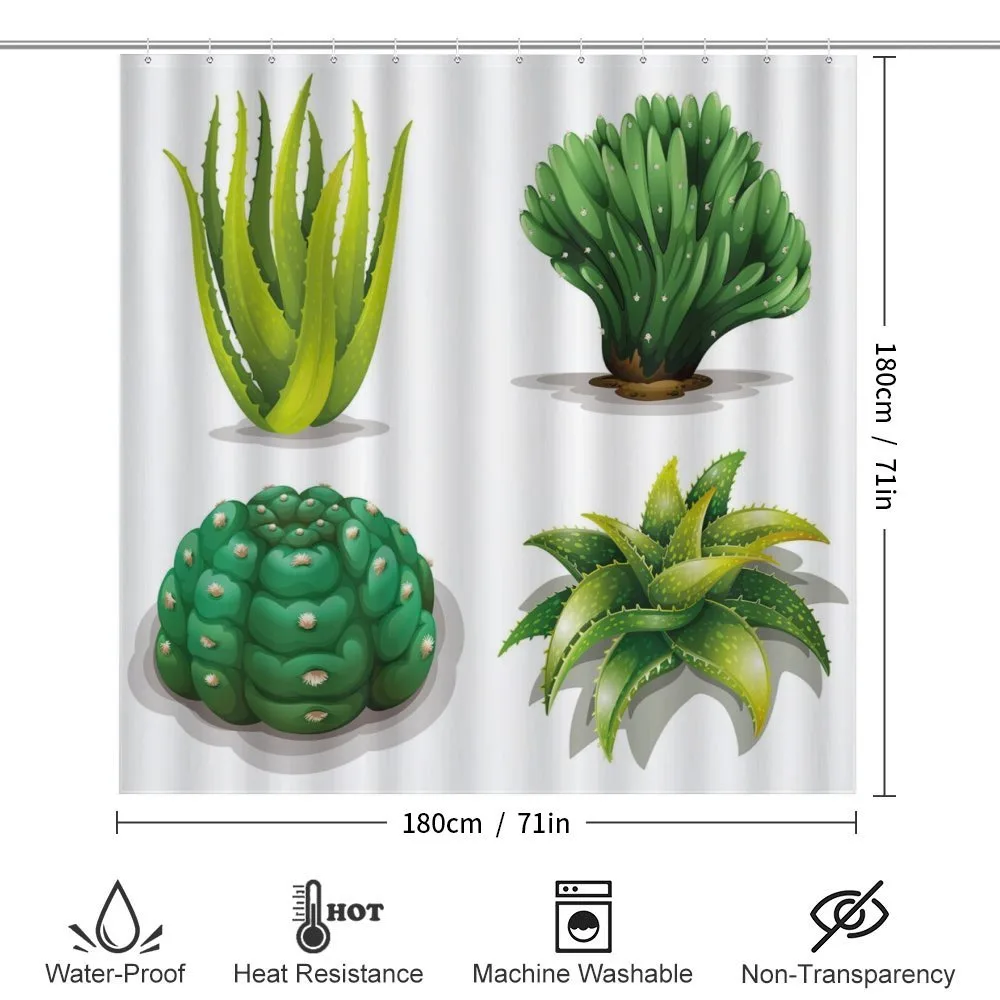 Aloe Vera Plants Cacti — Detail 2