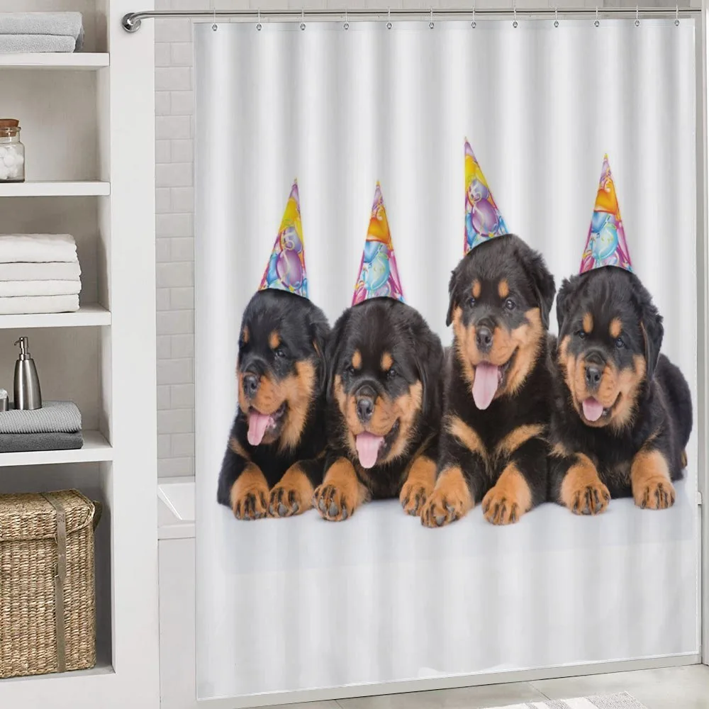 Birthday Dogs Hats — Detail 4