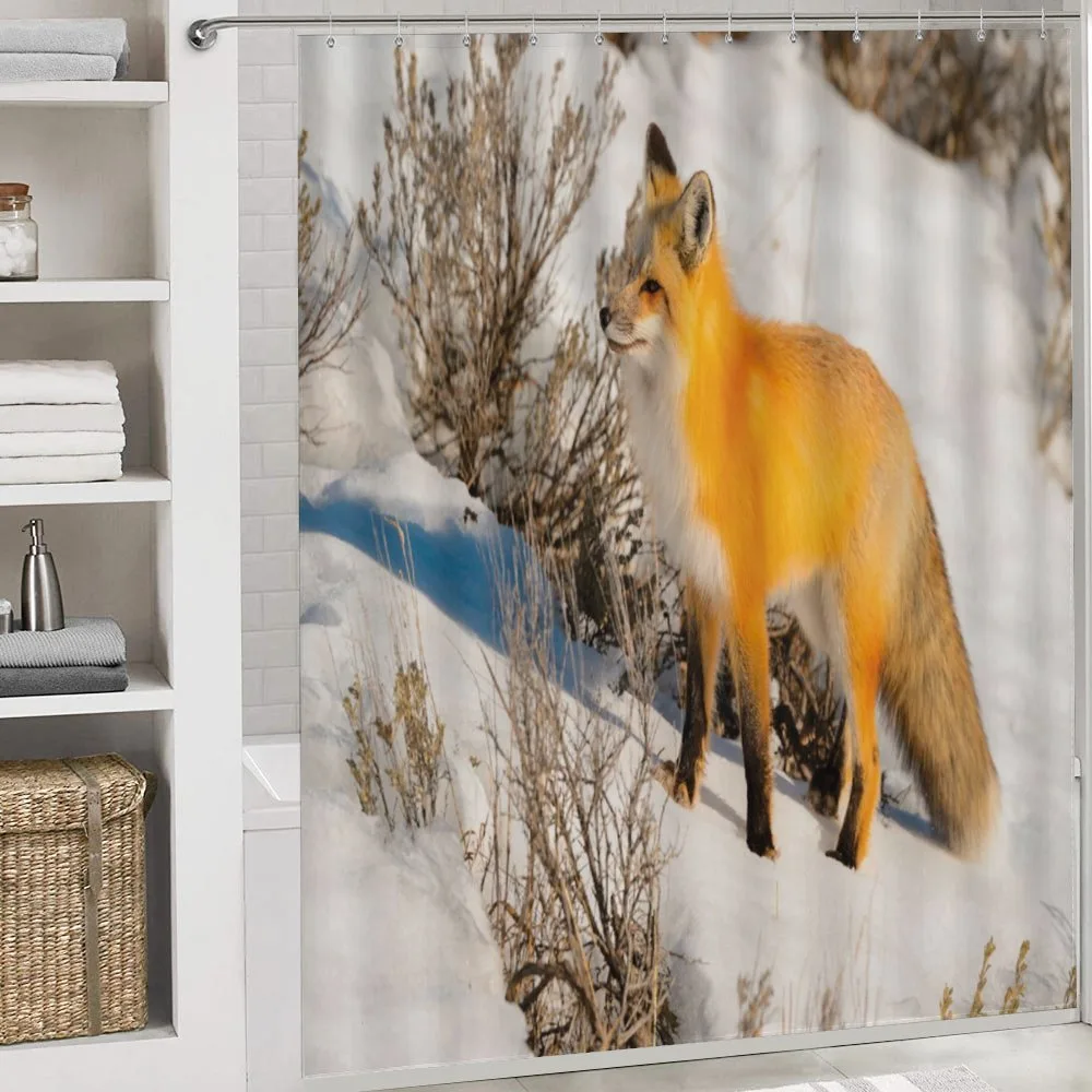 Red Fox in Snowy Nature — Detail 4