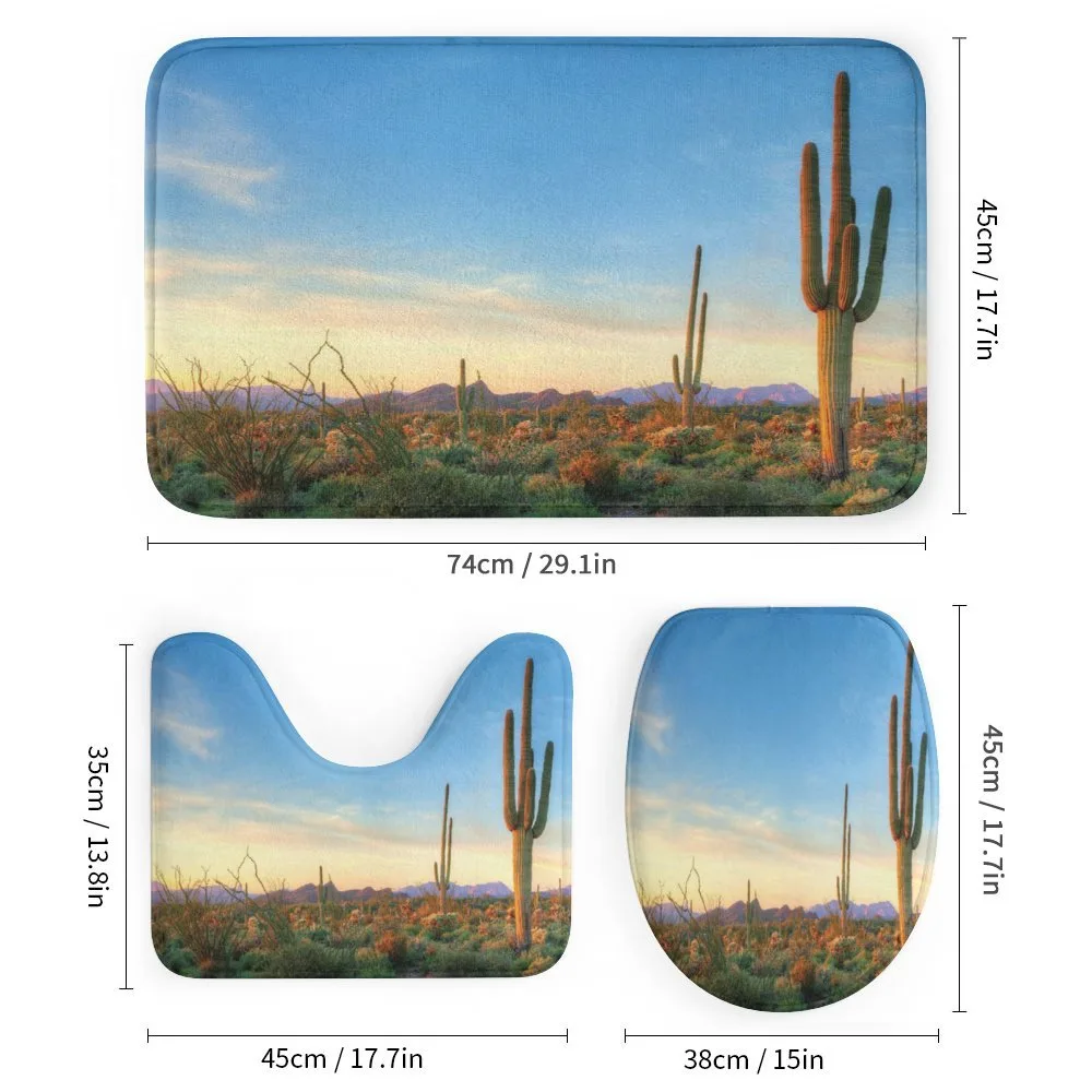 Sonoran Desert Sunset — Detail 1