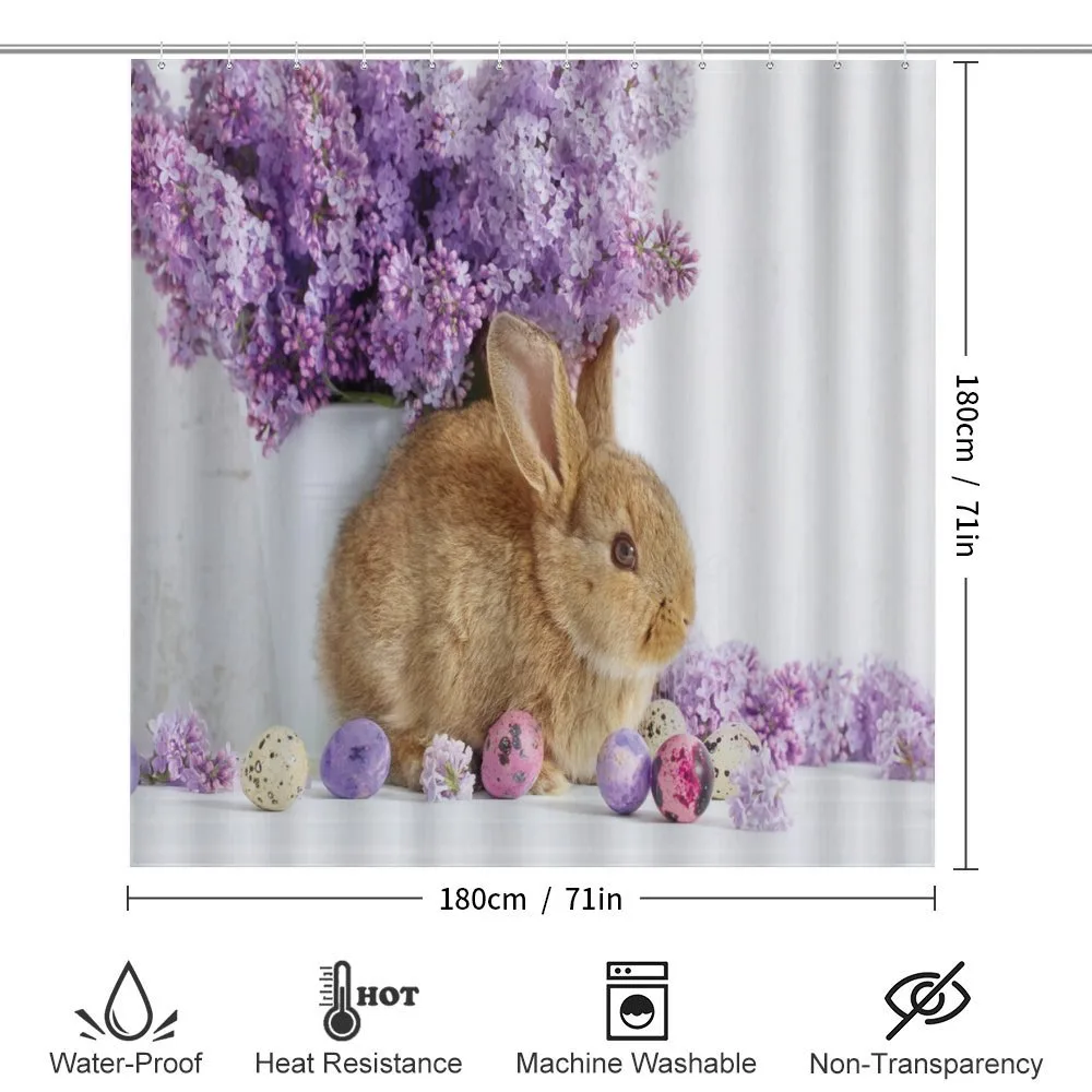 Rabbit Photo — Detail 2