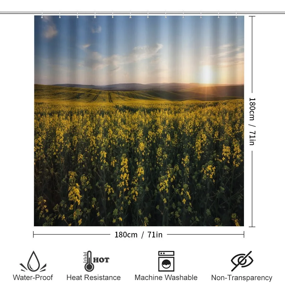 Sunset Flower Field — Detail 2