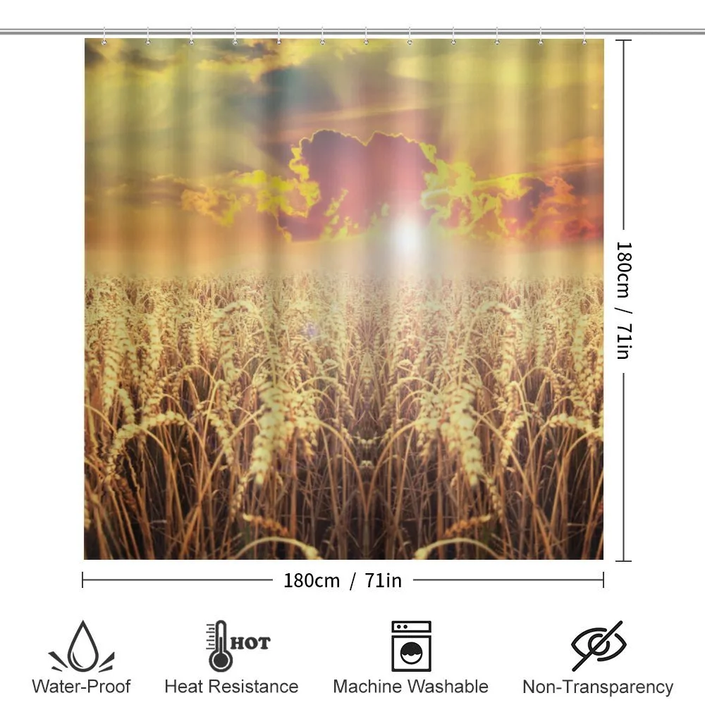 Anther Field Sunset — Detail 2