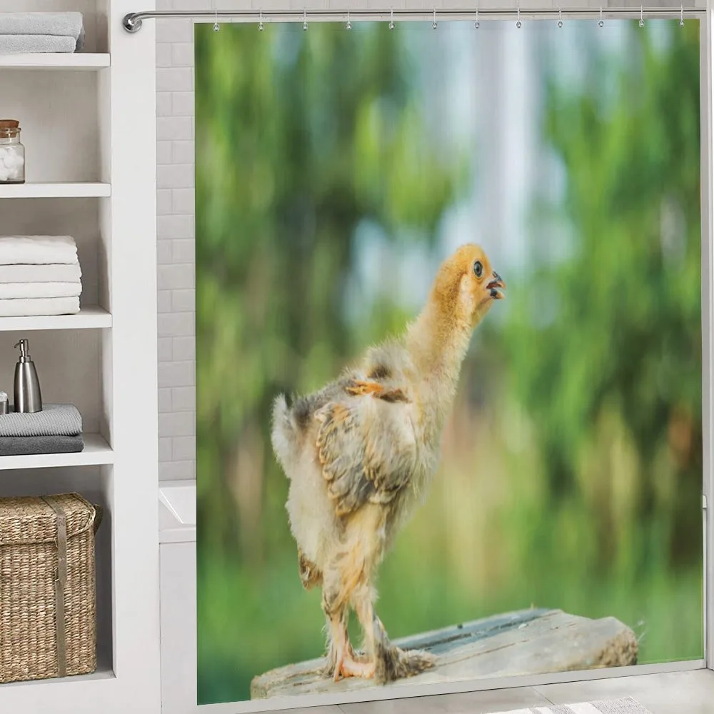Little Baby Chicken on Log — Detail 4