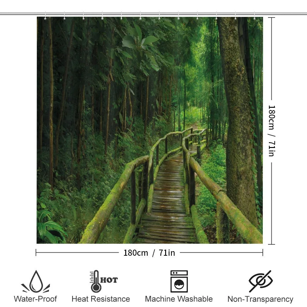 Rainforest in Thailand — Detail 2
