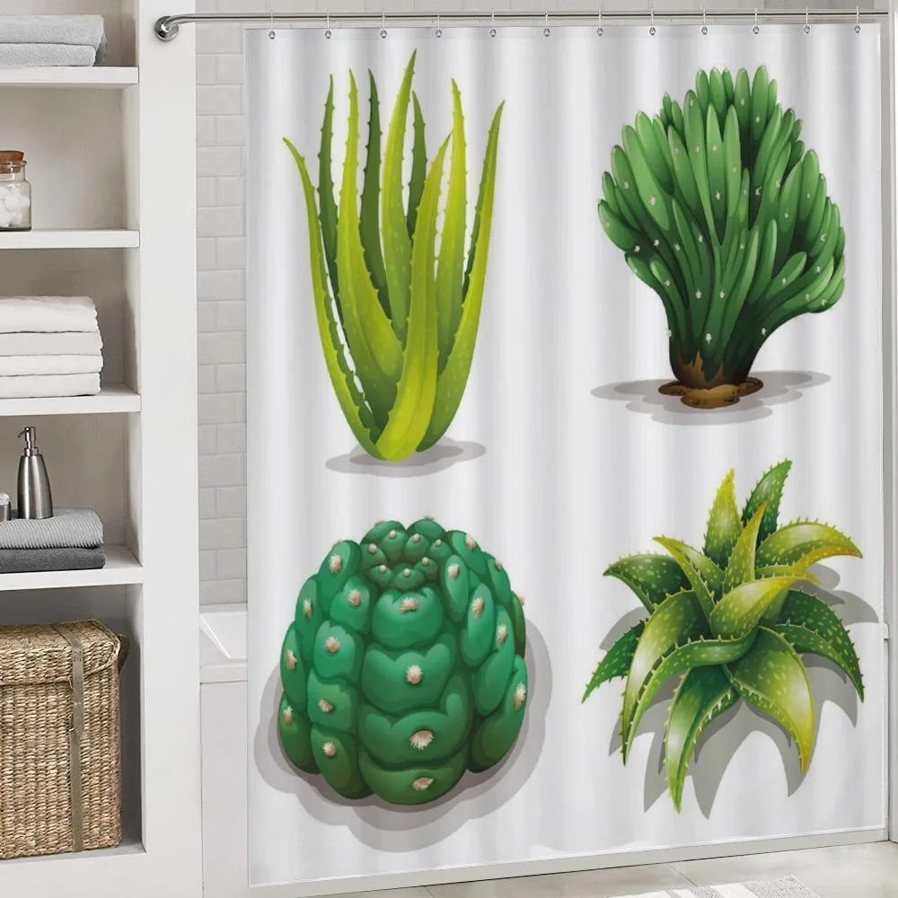 Aloe Vera Plants Cacti — Detail 4