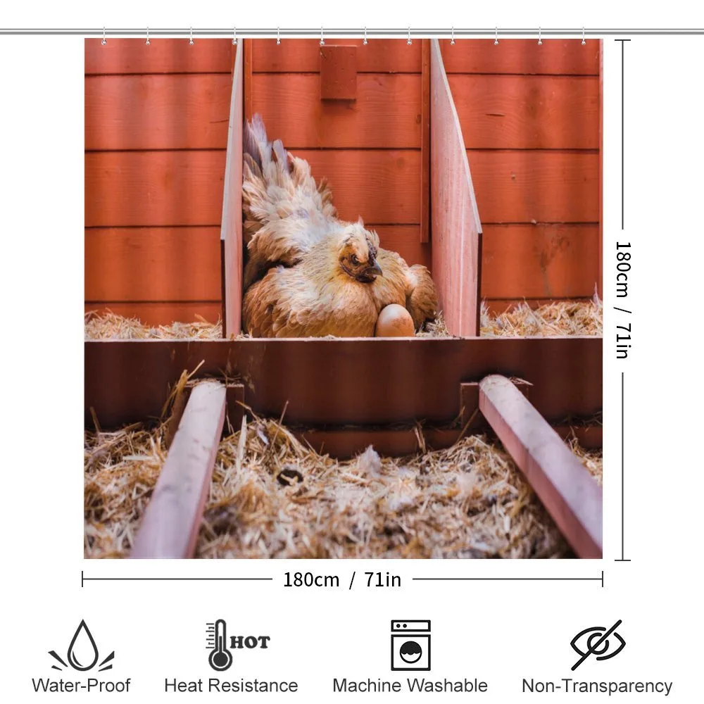 Hen in Cage with Eggs — Detail 2