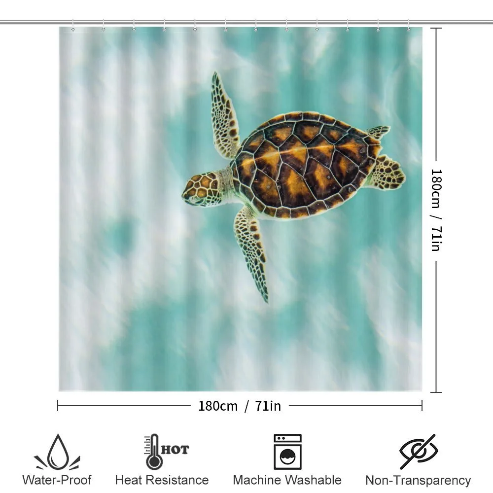 Endangered Baby Turtle — Detail 2