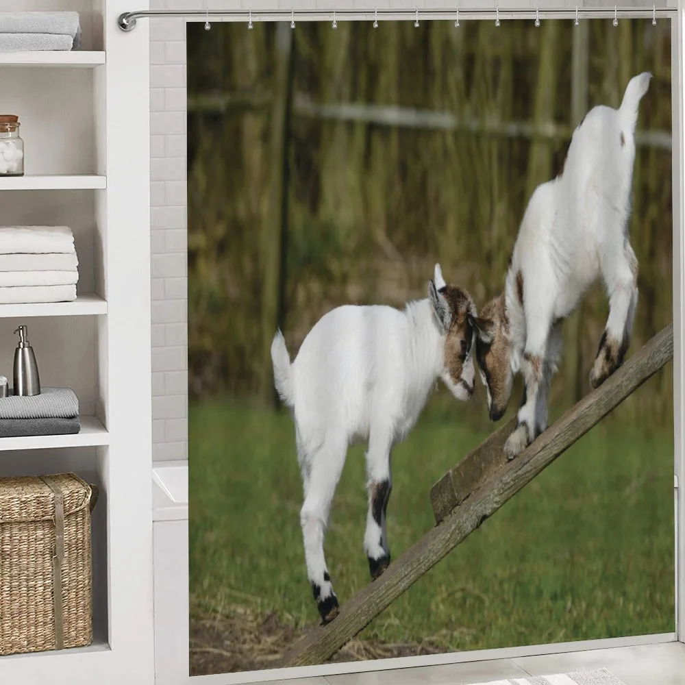 Farm Life with Goats — Detail 4