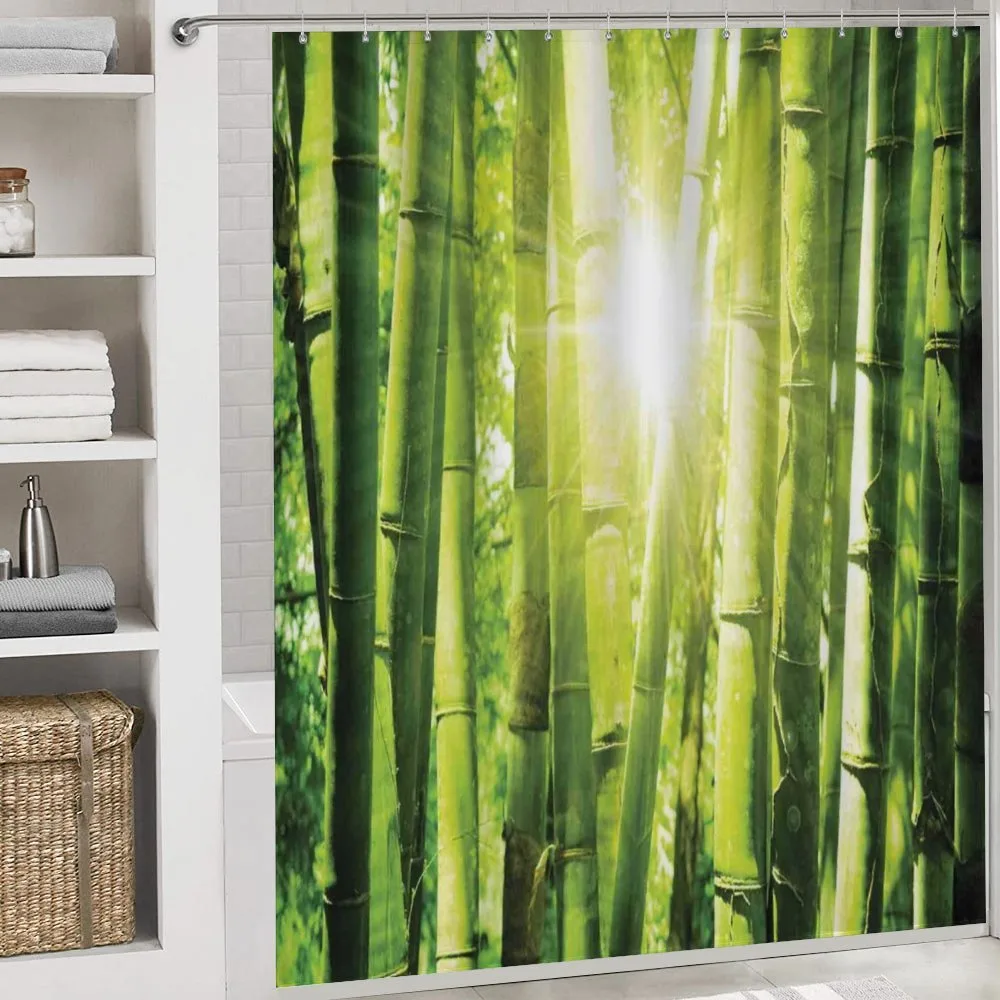 Sun Beams in Wild Jungle — Detail 4