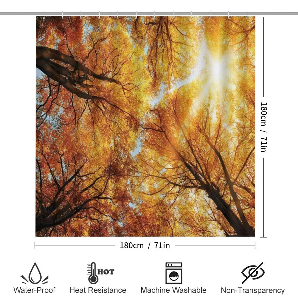 Autumn Sunbeams Forest — Detail 2