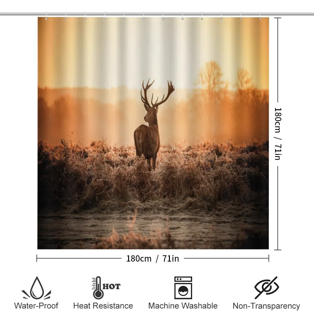 Deer Morning Sun — Detail 2