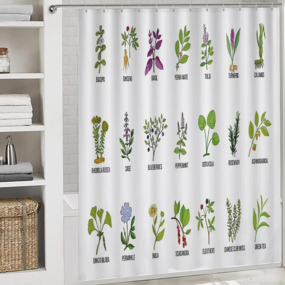 Educational Herbs Design — Detail 4