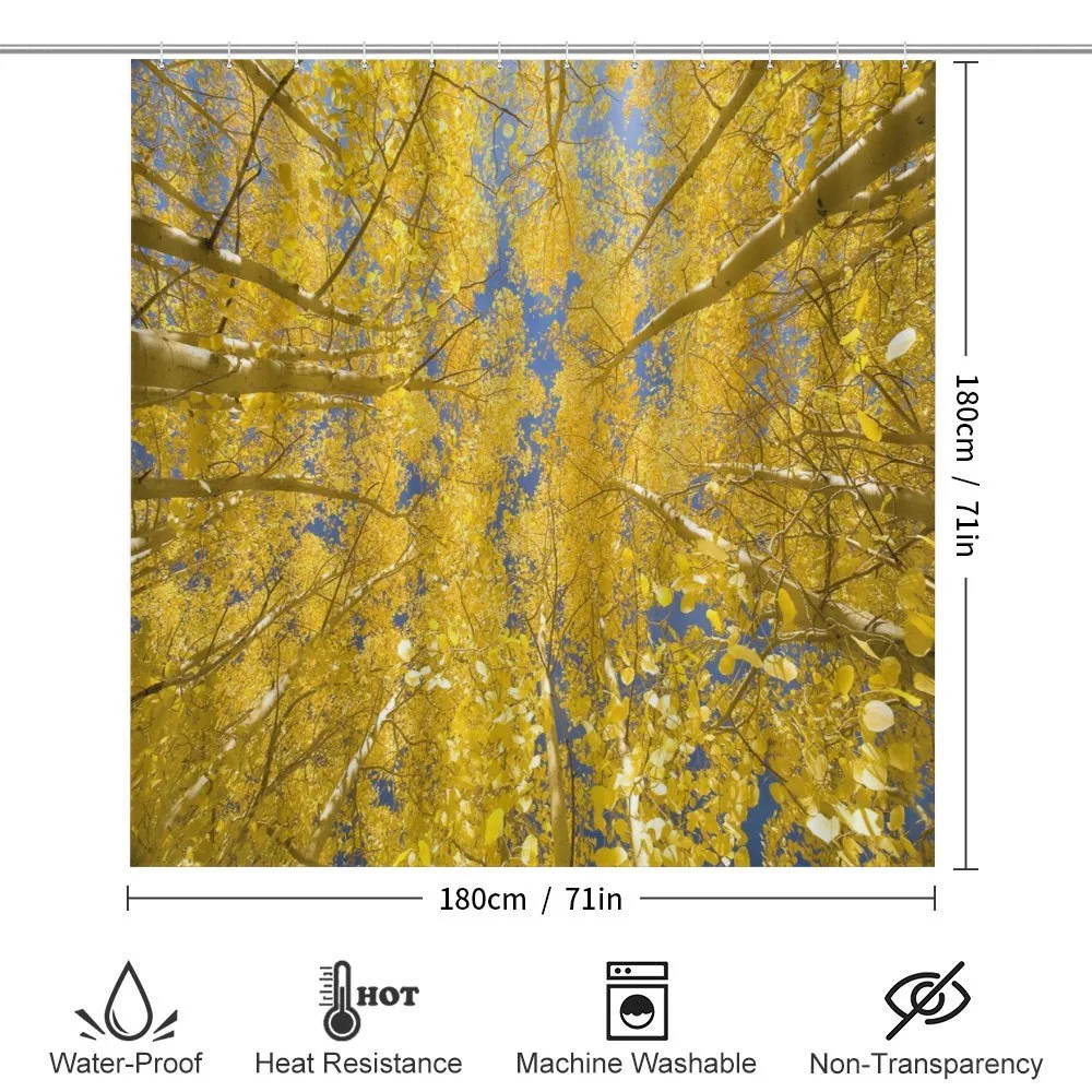Aspen Trees — Detail 2