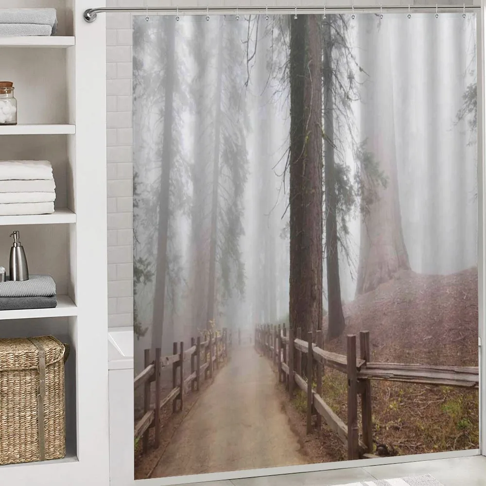 Forest in Foggy Morning — Detail 4