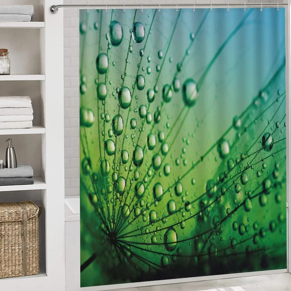 Photo of Dandelion Seeds — Detail 4