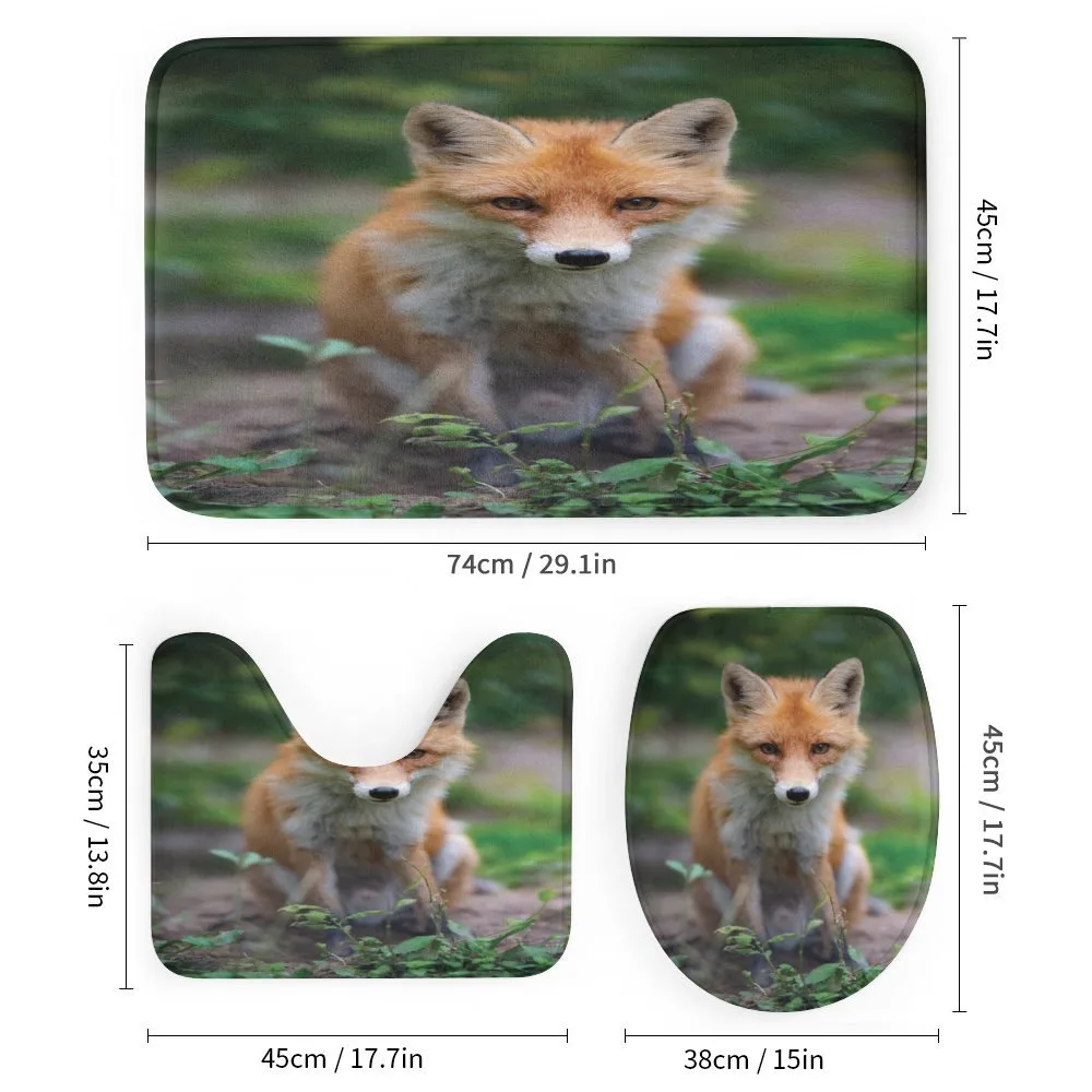 Young Coyote Photo — Detail 1