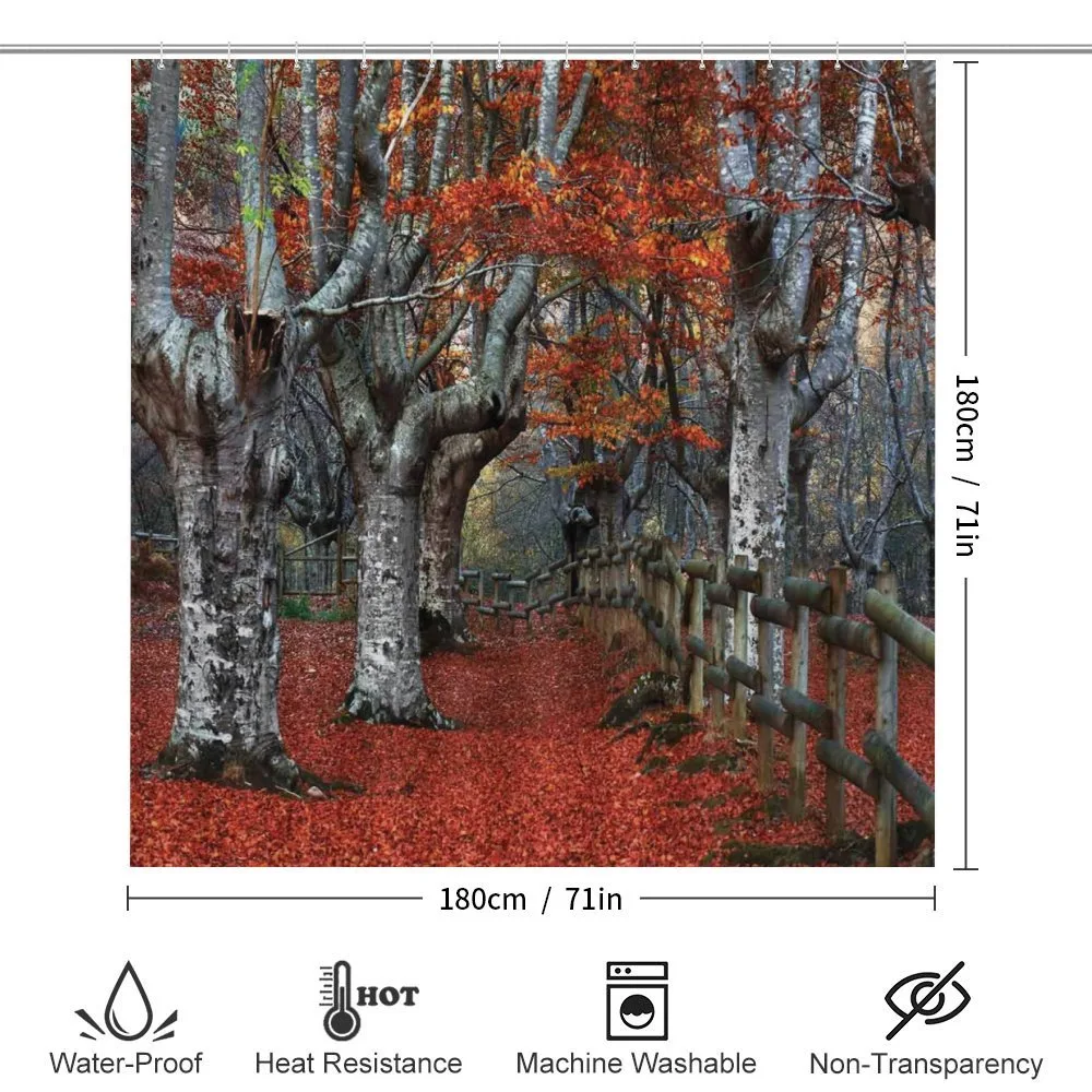 Beech Forest Autumn — Detail 2