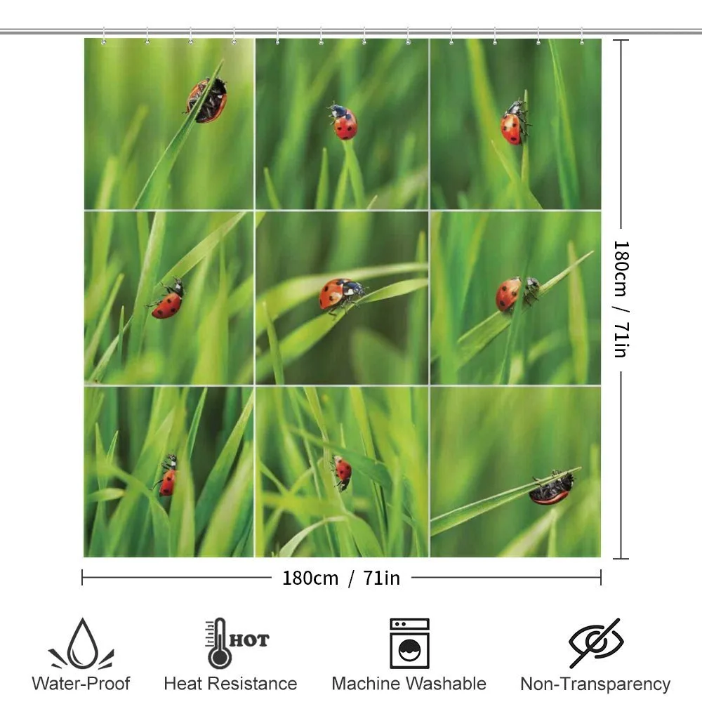 Ladybug over Fresh Grass — Detail 2