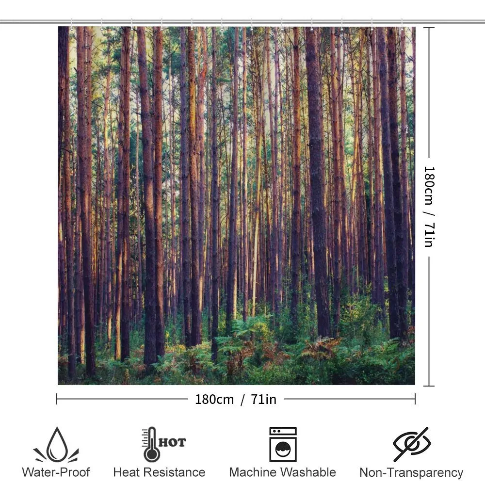Fall Trees Forest Trunks — Detail 2