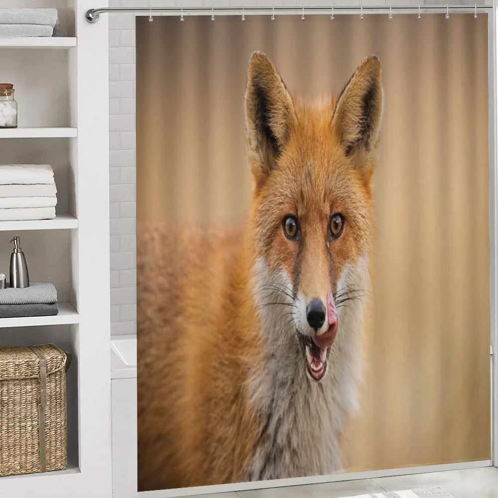 Hungry Young Coyote on Blurred — Detail 4