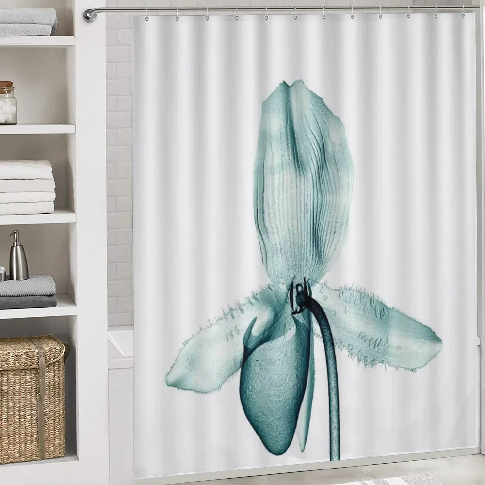 Modern Flower X-Ray — Detail 4