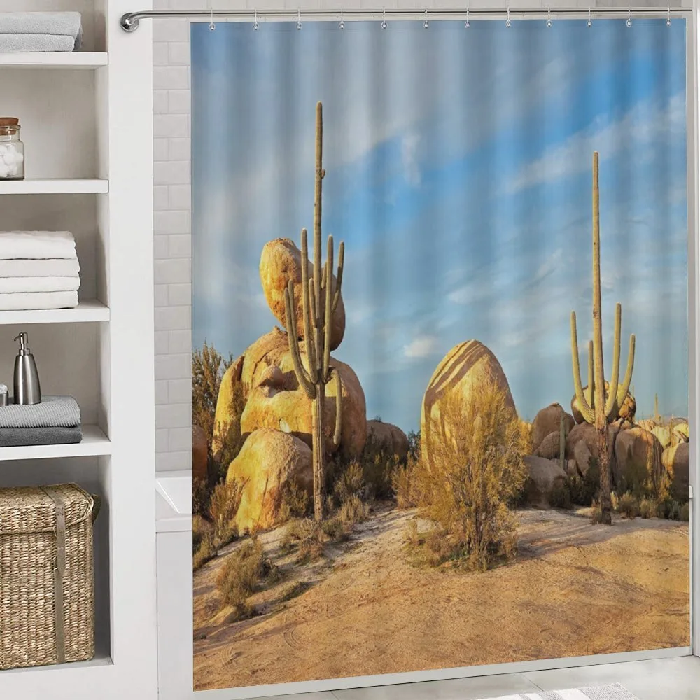 Saguaros Boulders Sunset — Detail 4