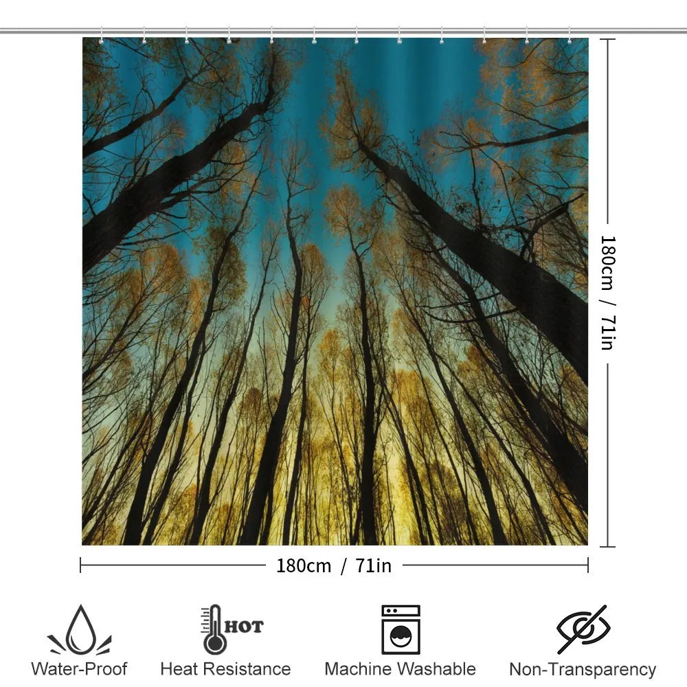 Trees Sunrise Pastoral — Detail 2