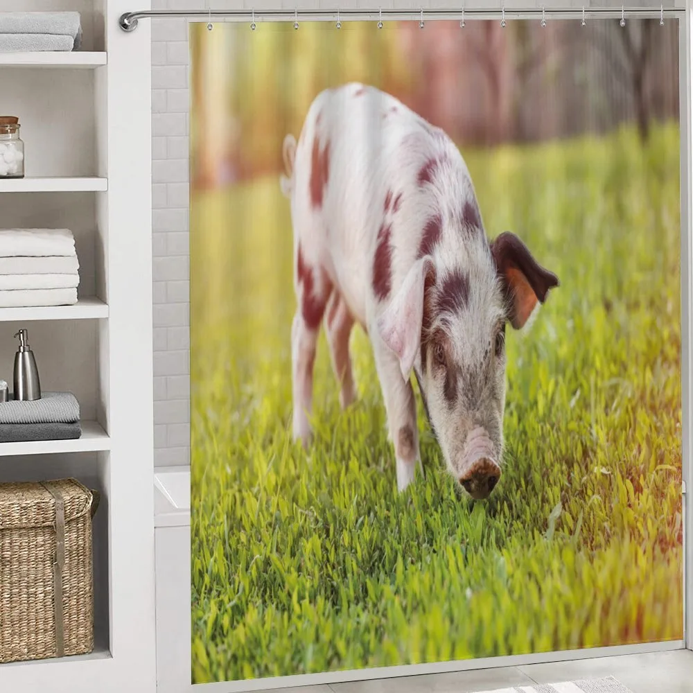Baby Pig with Spots — Detail 4