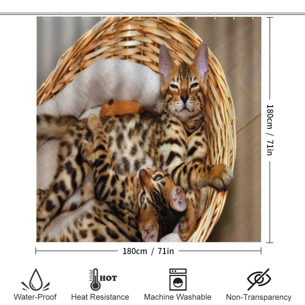 Bengal Cats in Basket — Detail 2