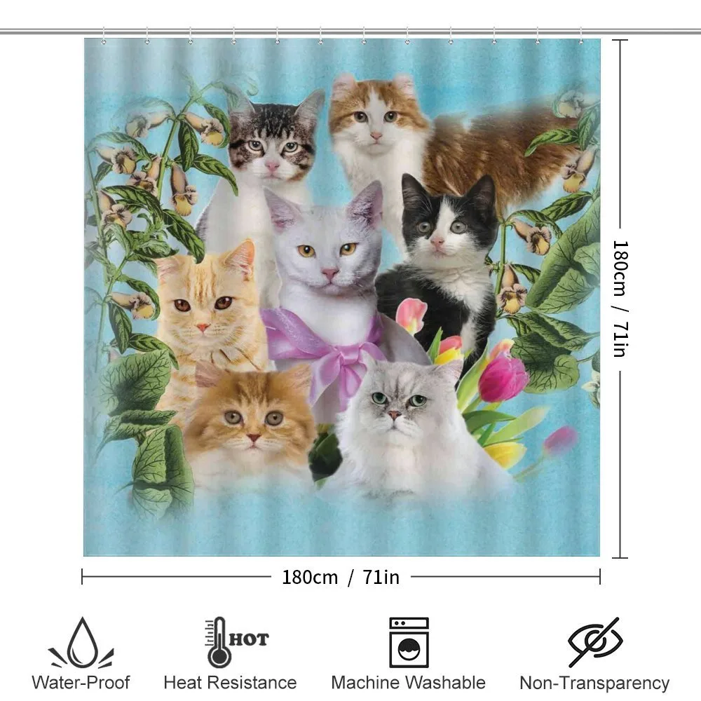 Cats Feline Domestic — Detail 2