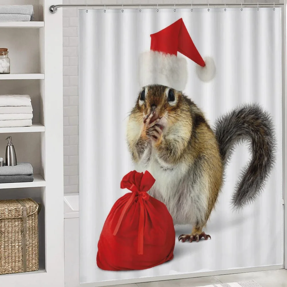 Chipmunk in Santa Hat — Detail 4