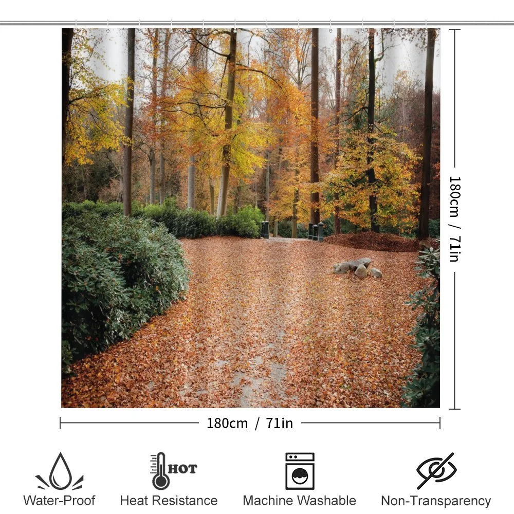 Autumn Forest Trees Fall — Detail 2
