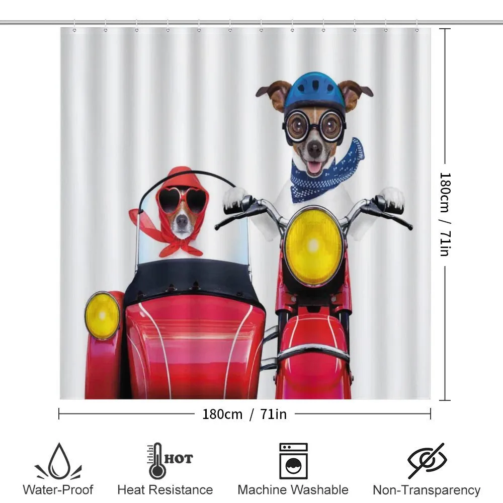 Funny Canine on Bike — Detail 2