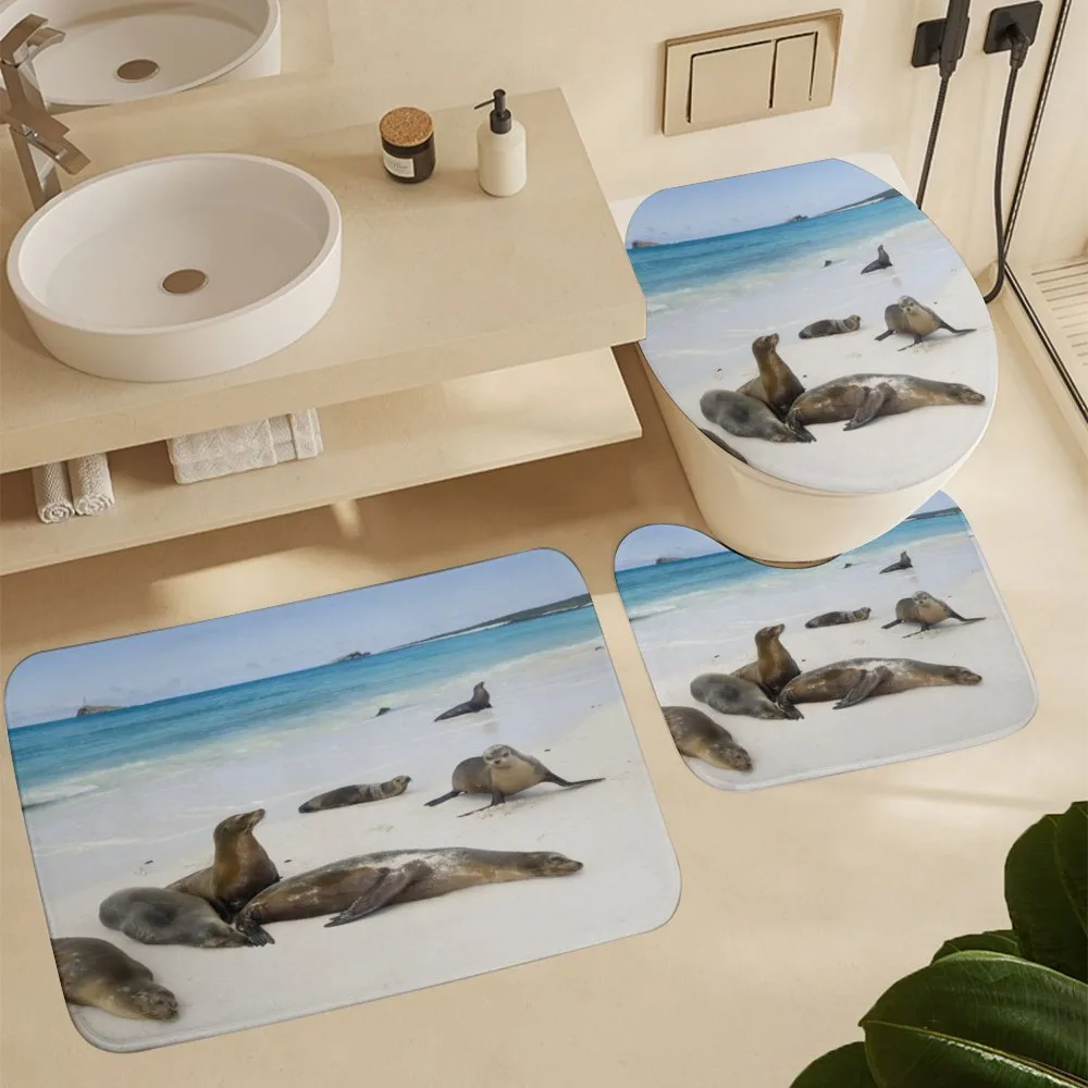 Galapagos Island Sea Lions — Detail 5