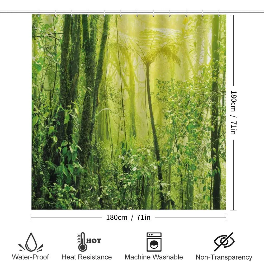 Tropical Amazon Forest — Detail 2