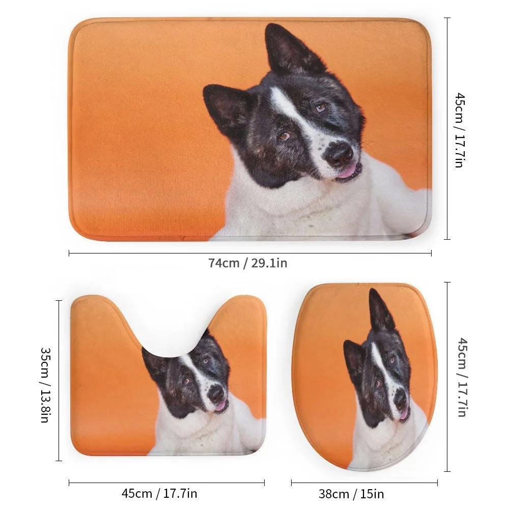 Akita on Orange — Detail 1