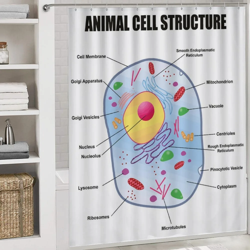 Animal Cell Study — Detail 4