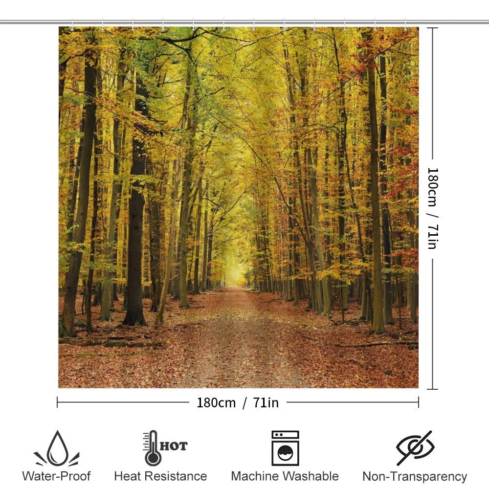 Pathway into the Forest — Detail 2