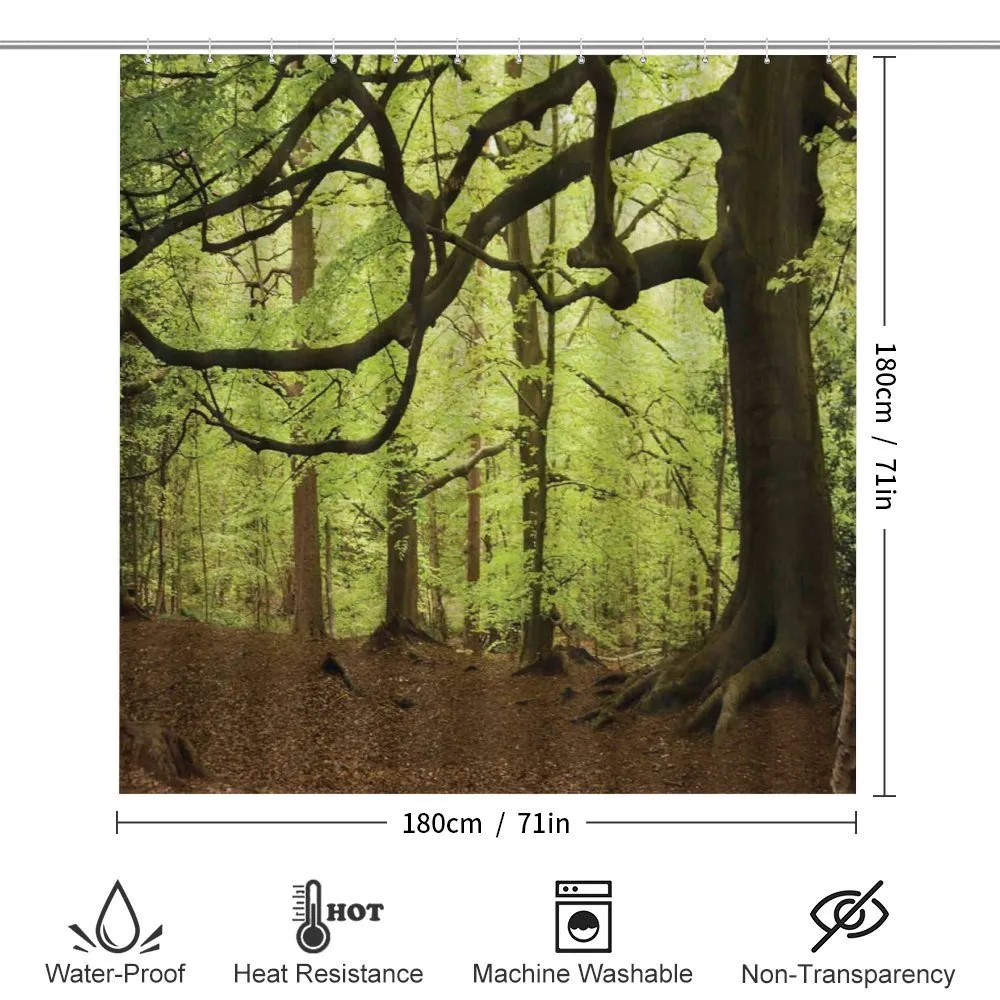 Woodland Natural Beauty — Detail 2