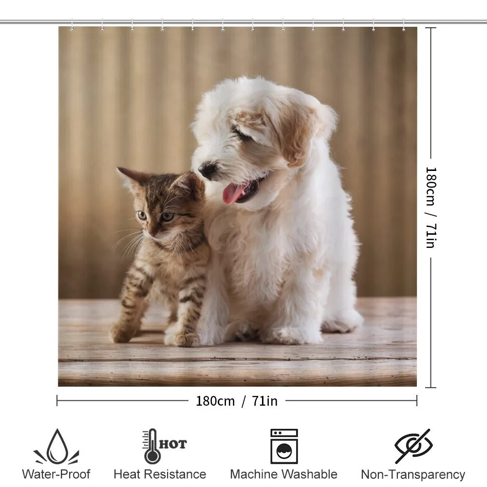 Kitten and Dog Friends — Detail 2